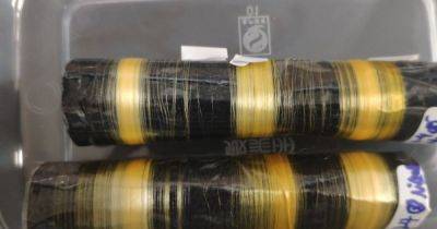 Китайские ученые получили новое волокно на основе паутины и шелка: оно в 6 раз прочнее кевлара (фото) - focus.ua - Китай - Украина