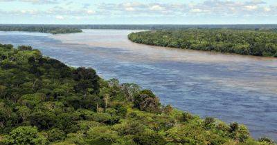 Феномен амазонского чернозема: ученые узнали, как в лесах Амазонки появилась такая плодородная почва - focus.ua - Украина