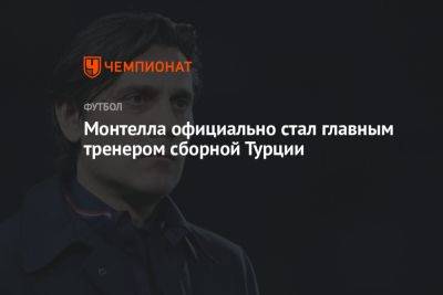 Монтелла официально стал главным тренером сборной Турции - championat.com - Италия - Турция - Германия