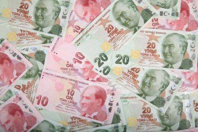 ЦБ Турции повысил ставки до максимума за последние 20 лет - minfin.com.ua - Украина - Турция