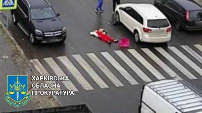 Сбил насмерть женщину в Харькове: водителя приговорили к пяти годам тюрьмы - objectiv.tv - Украина - Харьков - Полтава