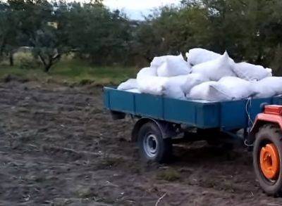 Сельский "Муравей": как выглядел редчайший ЗАЗ на трех колесах, сделанный для дачников и огородников - hyser.com.ua - Украина