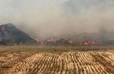 Горящие воздушные шары из Газы привели к пожару на полях кибуца Кисуфим - nashe.orbita.co.il - Израиль