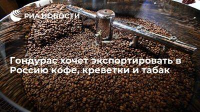 Гондурас хочет экспортировать в Россию кофе, креветки, омаров и табак - smartmoney.one - Россия - Гондурас