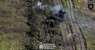 Накрыли огнем: появилось видео с БПЛА, как 3 ОШБр зачищала лесополосу возле Андреевки (видео) - focus.ua - Россия - Украина - Донецкая обл.