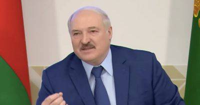 Александр Лукашенко - "Запад сливает": Лукашенко прокомментировал заявления Польши по зерну и оружию Украине - focus.ua - США - Украина - Белоруссия - Польша