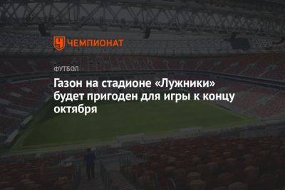 Газон на стадионе «Лужники» будет пригоден для игры к концу октября - championat.com - Москва - Россия - Камерун