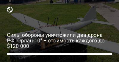 Силы обороны уничтожили два дрона РФ "Орлан-10" – стоимость каждого до $120 000 - liga.net - Россия - Украина - Англия - Николаевская обл.