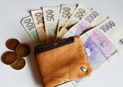 Минтруд Чехии предлагает повысить минимальную зарплату с нового года - vinegret.cz - Чехия