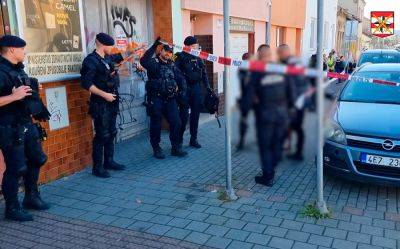 Чешская полиция сообщила подробности нападения наркомана на школьницу - vinegret.cz - Чехия - Брно
