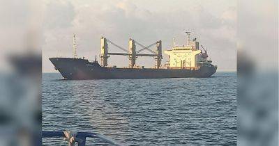Второй корабль с зерном из Украины прибыл в Турцию - fakty.ua - Украина - Египет - Турция - Стамбул - Палау - Черноморск