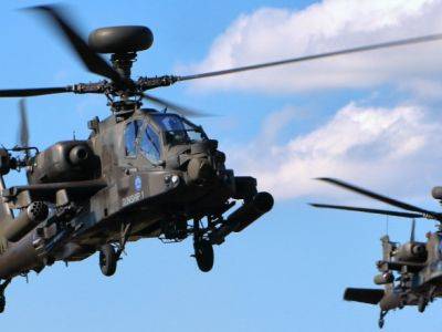 Мариуш Блащак - Польша приобретет почти 100 ударных вертолетов Apache - unn.com.ua - США - Украина - Киев - Польша - county Martin