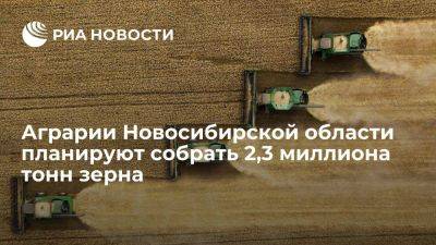 Аграрии Новосибирской области планируют собрать 2,3 миллиона тонн зерна - smartmoney.one - Новосибирская обл.