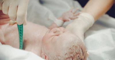 Рождаемость в Украине может стать самой низкой в мире, — WSJ - focus.ua - Россия - Украина - Крым