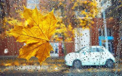Погода в октябре - когда будет похолодание и дожди - карты - apostrophe.ua - Украина - Киев
