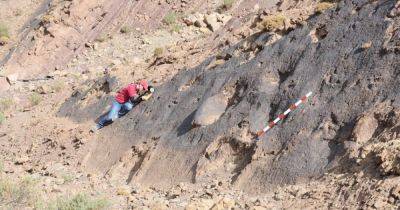 Титаны, скрытые прошлым. Ученые открыли небывалое разнообразие динозавров, живших 160 млн лет назад - focus.ua - Украина - Марокко