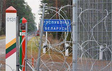 Агне Билотайте - Литва построит на границе с Беларусью и РФ дополнительное заграждение - charter97.org - Россия - Белоруссия - Литва - Экология