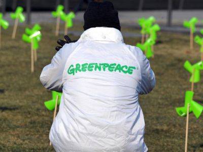 Greenpeace разослала западным правительствам предупреждение относительно безопасности на Запорожской АЭС - unn.com.ua - Украина - Киев - территория Запорожская