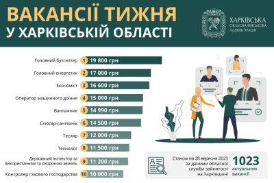 Работа в Харькове и области: вакансии недели с зарплатой почти до 20 тыс. грн - objectiv.tv - Харьковская обл. - Харьков