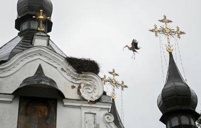 Когда Покрова в 2023 году – что нужно сделать к празднику – традиции на Покрову - apostrophe.ua - Украина - Царьград