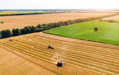 Цены на пшеницу рекордно снизились - Bloomberg - korrespondent.net - Москва - Россия - Украина - Лондон - Аграрии