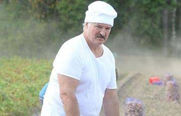 Александр Лукашенко - Лукашенко в очередной раз обманул жителей деревень - charter97.org - Белоруссия - Полоцк