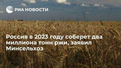 Минсельхоз РФ: валовый сбор ржи в 2023 году составит порядка двух миллионов тонн - smartmoney.one - Россия