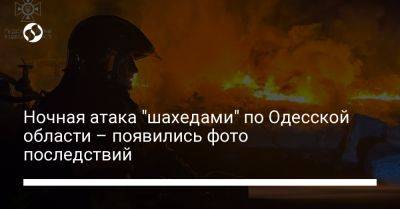 Ночная атака "шахедами" по Одесской области – появились фото последствий - liga.net - Россия - Украина - Одесская обл.