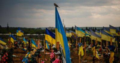 15 млн гривен за погибшего бойца: как семьям получить выплаты от государства - focus.ua - Украина - Киев