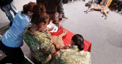 Пограничников учат оказывать первую медпомощь четвероногим бойцам (ФОТО) - dsnews.ua - Украина - Австралия
