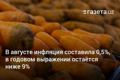 В августе инфляция составила 0,5%, в годовом выражении остаётся ниже 9% - gazeta.uz - Узбекистан