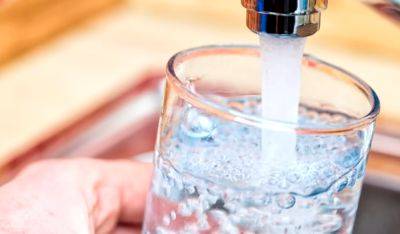 Водные процедуры в вашем стакане: можно ли пить воду, если в стакан угодила муха - ukrainianwall.com - Украина