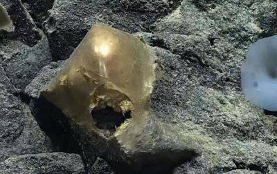 У подводного вулкана Аляски найдено загадочное золотое яйцо - korrespondent.net - Украина - Испания - шт.Аляска