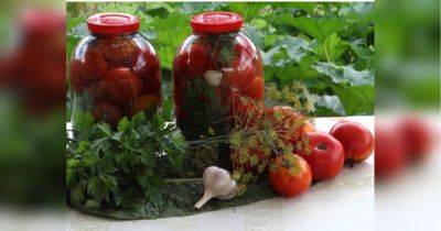 Маринуем помидоры холодным способом: очень вкусно и минимум хлопот - fakty.ua - Россия - Украина