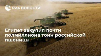 Египет закупил почти полмиллиона тонн российской пшеницы в частном порядке - smartmoney.one - Египет