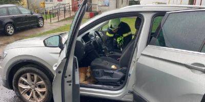 Испугалась грозы. На Волыни собака спряталась в чужом авто и не хотела выходить — спасатели помогли животному - nv.ua - Украина - Луцк - Гсчс