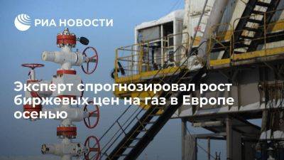 Эксперт: биржевые цены на газ в ЕС могут достичь 800 долларов за тысячу кубов - smartmoney.one - Австралия - Лондон - Германия - Европа