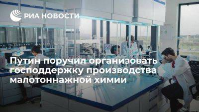 Владимир Путин - Михаил Мишустин - Путин поручил кабмину организовать господдержку производства малотоннажной химии - smartmoney.one - Россия