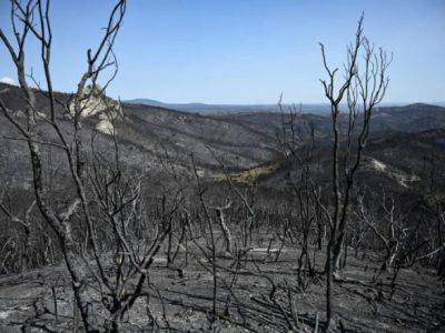 Кириакоса Мицотакиса - Правительство Греции взяло под контроль масштабный лесной пожар в Дадии - unn.com.ua - Украина - Киев - Греция - Экология