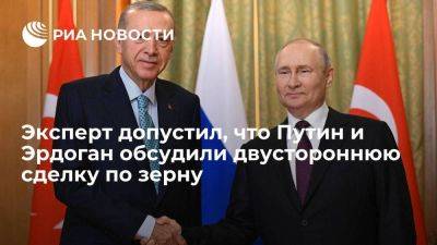 Владимир Путин - Реджеп Тайип Эрдоган - Сергей Лавров - Тайип Эрдоган - Аватков: Путин и Эрдоган могли обсуждать сделку по зерну между РФ и Турцией - smartmoney.one - Москва - Россия - Украина - Турция - Анкара - Катар