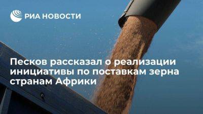 Владимир Путин - Дмитрий Песков - Песков: РФ реализует идею по поставке миллиона тонн зерна пяти странам Африки - smartmoney.one - Россия - Украина - Турция