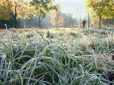 Идут первые заморозки: когда они начнутся на почве и в воздухе. Синоптики предупредили - hyser.com.ua - Украина