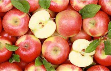 В Беларуси взлетели цены на яблоки - charter97.org - Белоруссия - Польша - Голландия - Юар - Чили