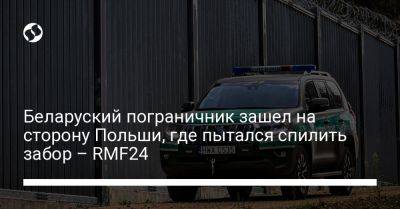 Беларуский пограничник зашел на сторону Польши, где пытался спилить забор – RMF24 - liga.net - Украина - Белоруссия - Польша - Одесса