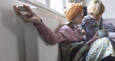 Елена Зеркаль - Украинские ТЭС готовы к зиме на 30%. Осталось 40 дней - cxid.info - Украина