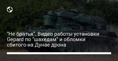 Сергей Наев - "Не братья". Видео работы установки Gepard по "шахедам" и обломки сбитого на Дунае дрона - liga.net - Украина - Германия - Одесская обл. - Житомирская обл.