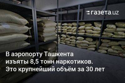 В аэропорту Ташкента изъяты 8,5 тонн наркотиков. Это крупнейший объём за 30 лет - gazeta.uz - Узбекистан - Ташкент