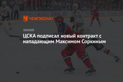 Максим Соркин - ЦСКА подписал новый контракт с нападающим Максимом Соркиным - championat.com
