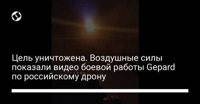 Цель уничтожена. Воздушные силы показали видео боевой работы Gepard по российскому дрону - liga.net - Украина