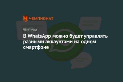 Павел Дуров - В WhatsApp можно будет управлять разными аккаунтами на одном смартфоне - championat.com